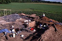 Excavation at the Mero site