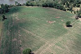 Aerial view of the Adams Site