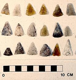 Adams site artifacts