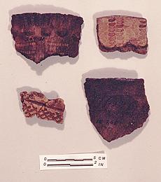 Ceramic rim sherds form the Howard Lake site