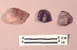 Scrapers from the Howard Lake Site