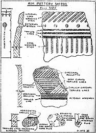 Ceramic drawings from the Minnesota Archaeologis in 1943
