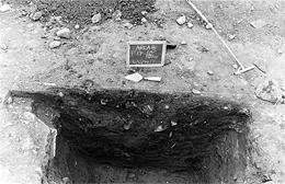 Profile of Feature 17