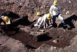 Archaeological Excavation at the Bridgehead Site, 1994