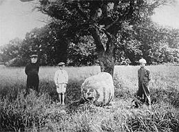 1909 Winchell photo