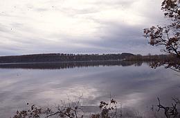 Spring Lake Area photo