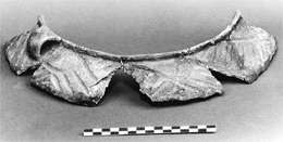 Pottery from the Bryan Site