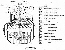 Vertical profile of Feature 202